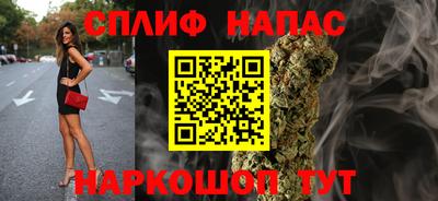 индика Ливны
