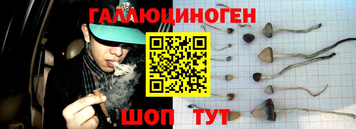 Ирбит  Галлюциногенные грибы мицелий  Вход с VPN 